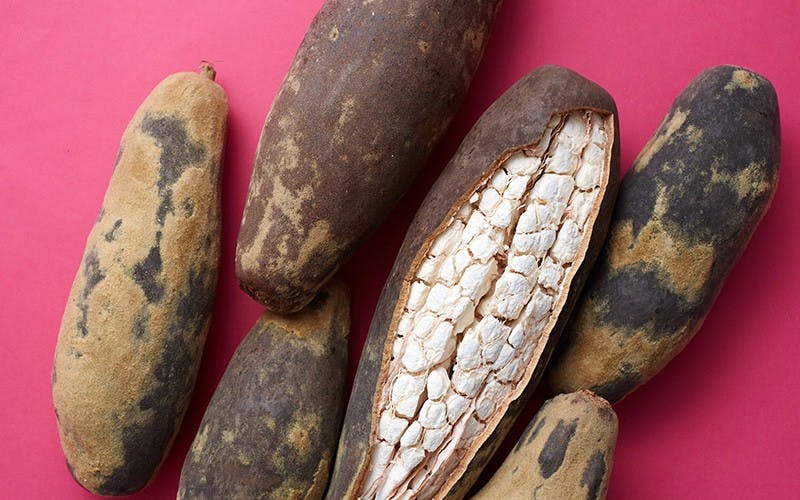 6 Health Benefits Of Baobab That You Need To Know